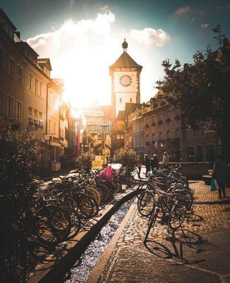 Ferienwohnung Deluxe Studio 9 in der Altstadt Freiburg im Breisgau Exterior foto